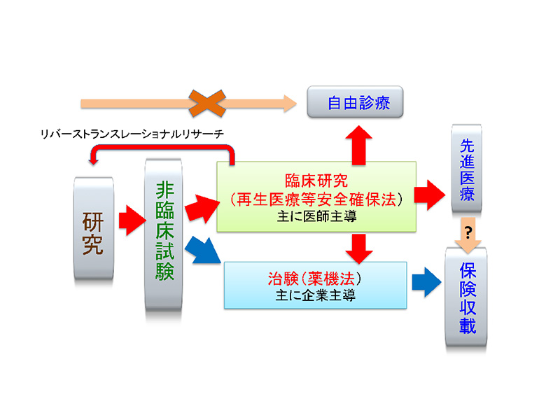 図4 再生医療に関する日本の法体制