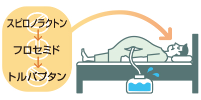 図 日本消化器病学会ガイドラインHP から改変引用