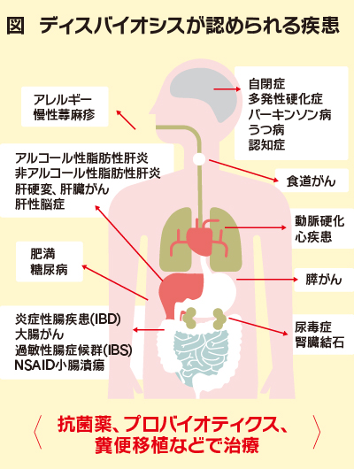 図