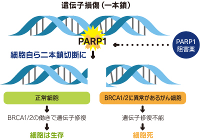 hiroba19_0404.jpg