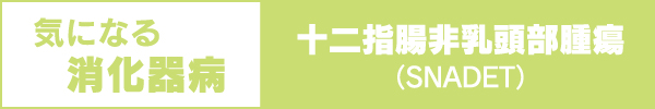 気になる消化器病　十二指腸非乳頭部腫瘍