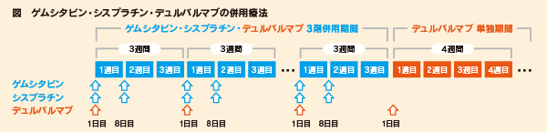 図　ゲムシタビン・シスプラチン・デュルバルマブの併用療法