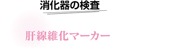 肝線維化マーカー